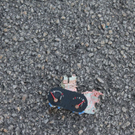 normal_27072011motorradcrashffmaktivnews_058.jpg
