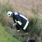 normal_27072011motorradcrashffmaktivnews_115.jpg