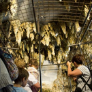 normal_28072011hellbrunnerwasserspielemmaktivnews__20_.JPG
