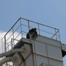 normal_01072011brandlohnsburgnfaktivnews0012.jpg