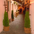 DSCN3871.JPG