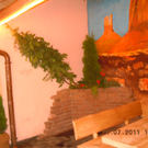 DSCN3877.JPG