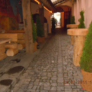 DSCN3881.JPG