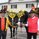 Postkutsche Halt Gemeinde Lochau 27-07-2011 _34__jpg-1311924093