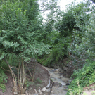 Hoferbach Sanierung Kurve 25-07-2011 _9__jpg-1311925622