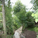 Hoferbach Sanierung Kurve 25-07-2011 _8__jpg-1311925600