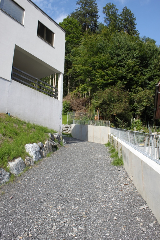 Neue Schanze Ortsaugenschein 2011 _6__jpg-1311934640