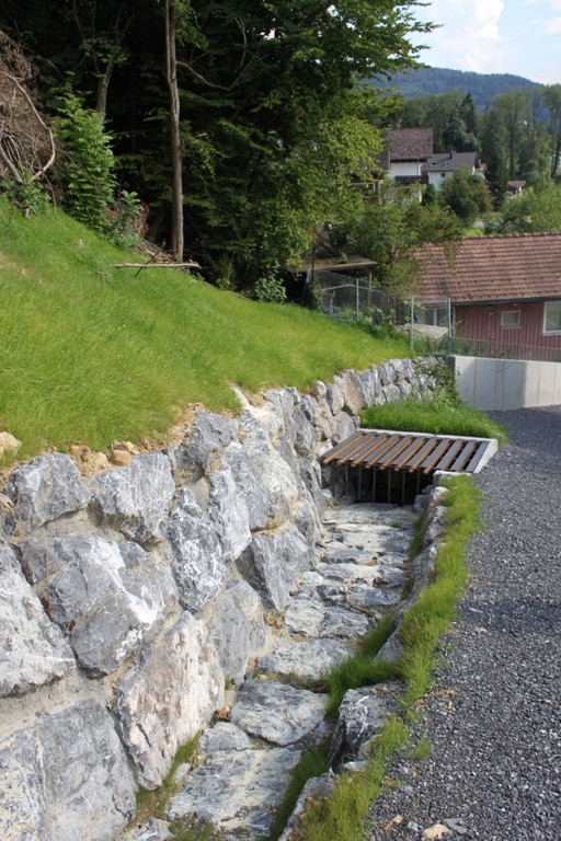 Neue Schanze Ortsaugenschein 2011 _8__jpg-1311934676