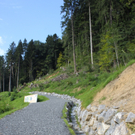 Neue Schanze Ortsaugenschein 2011 _9__jpg-1311934693