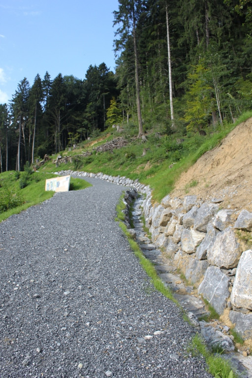 Neue Schanze Ortsaugenschein 2011 _9__jpg-1311934693