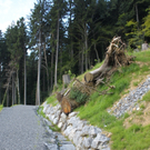Neue Schanze Ortsaugenschein 2011 _17__jpg-1311934800