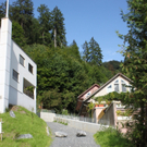 Neue Schanze Ortsaugenschein 2011 _4__jpg-1311934611
