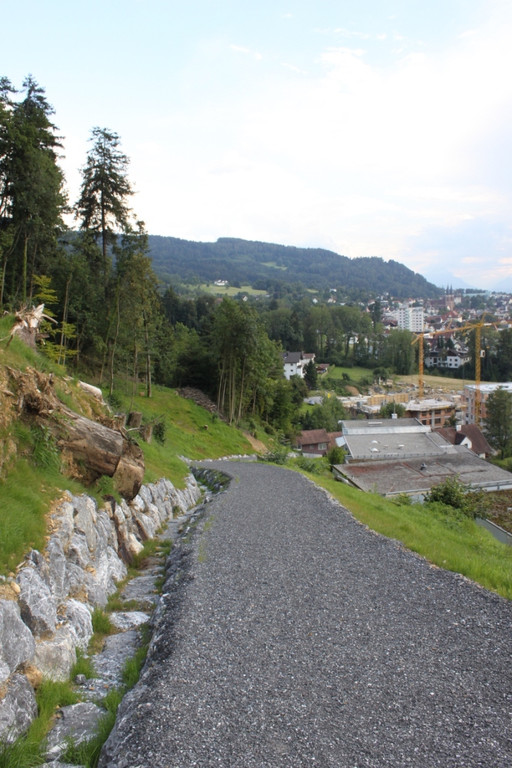 Neue Schanze Ortsaugenschein 2011 _18__jpg-1311934814