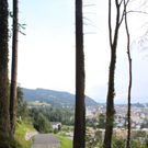 Neue Schanze Ortsaugenschein 2011 _19__jpg-1311934828