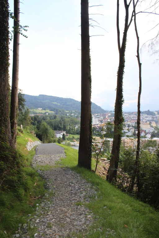 Neue Schanze Ortsaugenschein 2011 _19__jpg-1311934828