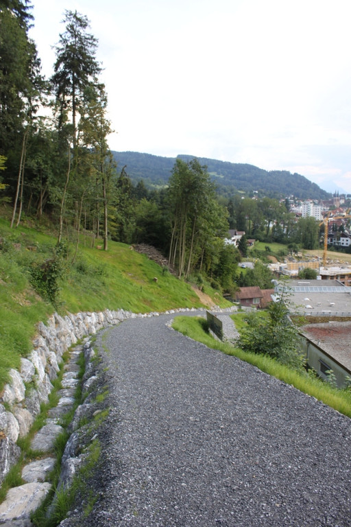 Neue Schanze Ortsaugenschein 2011 _20__jpg-1311934842