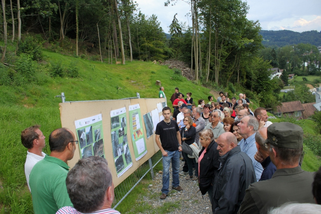 Neue Schanze Ortsaugenschein 2011 _36__jpg-1311935071
