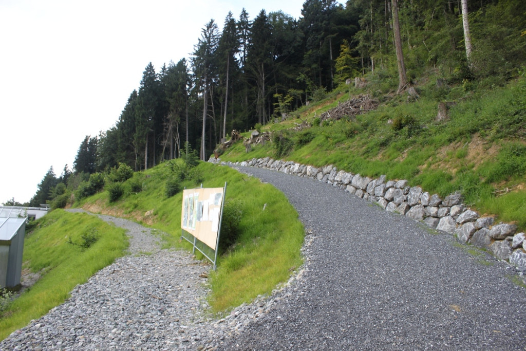 Neue Schanze Ortsaugenschein 2011 _22__jpg-1311934871