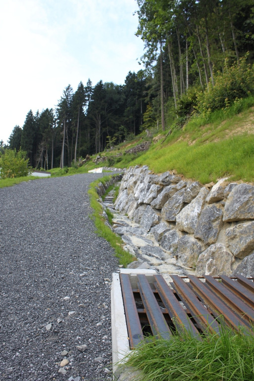 Neue Schanze Ortsaugenschein 2011 _25__jpg-1311934917