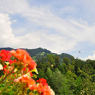 normal_28072011wettermbaktivnews016.jpg