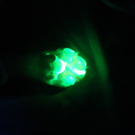 IBD0206-20110729.jpg