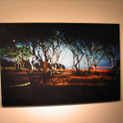 Florian Walter - Ausstellung