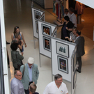 IMG_2249_JPG-1312014757
