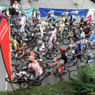 foto-lerch-300711-27.jpg