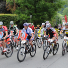 foto-lerch-300711-3.jpg