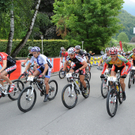 foto-lerch-300711-4.jpg