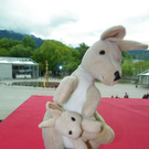 112_1966_JPG-1312066306