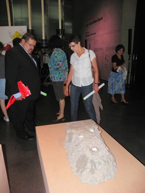 111_9683_JPG-1312066958