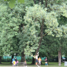normal_30072011slacklineffaktivnews_060.jpg