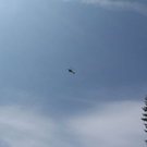 normal_310711motorradgmaktivnews07.JPG