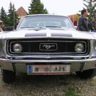 IMG_6508_1.JPG