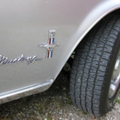 IMG_6515_1.JPG