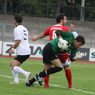 IMG_3456_JPG-1312115177