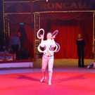 31072011fmt_dedelarible_mw_03.JPG