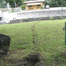 BILD11711_jpg-1312136810