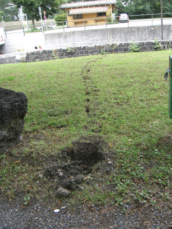 BILD11711_jpg-1312136810