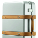 suitcase ORION 2.jpg