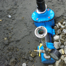 112_2037_JPG-1312152229