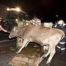 VU Kl__sterle Pass__rt_14.JPG