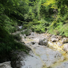 Sonnenstrahlen am Berg