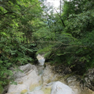 normal_31072011kienbergffaktivnews_02.jpg