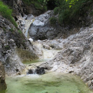 normal_31072011kienbergffaktivnews_03.jpg