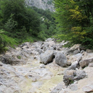 normal_31072011kienbergffaktivnews_05.jpg