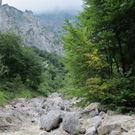 normal_31072011kienbergffaktivnews_06.jpg