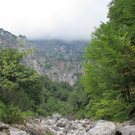 normal_31072011kienbergffaktivnews_07.jpg