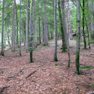 normal_31072011kienbergffaktivnews_15.jpg
